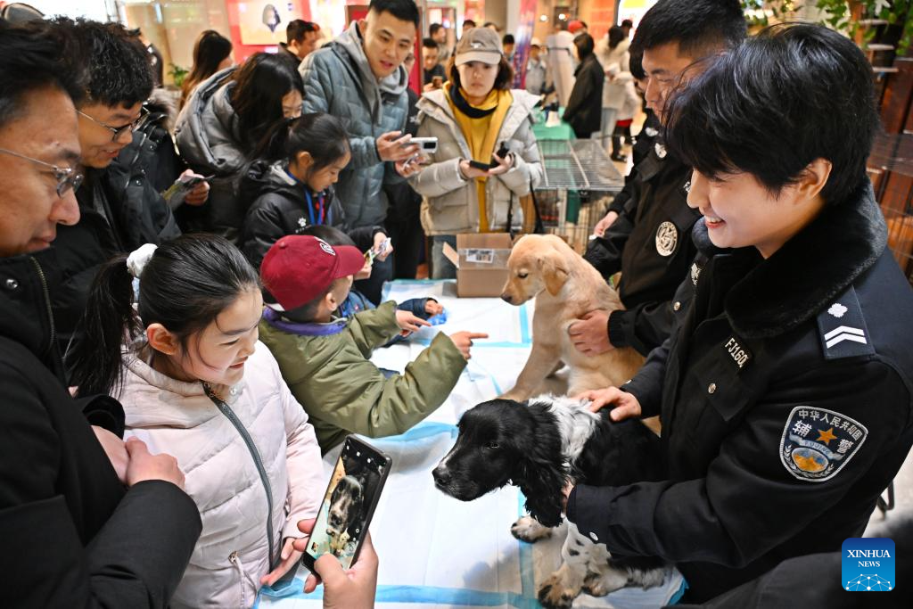 China celebra o 6º Dia da Polícia Popular Chinesa