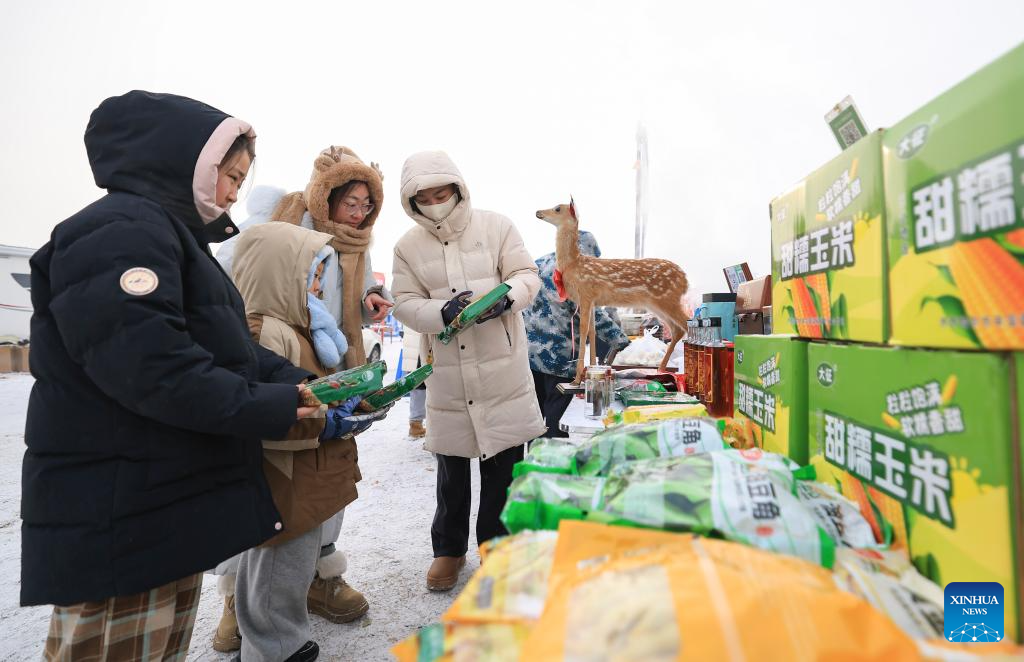 Festival de acampamento atrai fluxo significativo de visitantes na Cidade de Qiqihar, na Província de Heilongjiang, nordeste da China