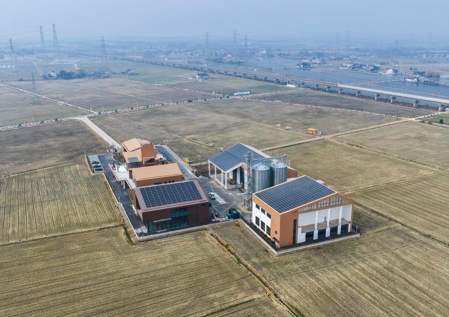 (Multimídia) China cultiva mais terras agrícolas de alto padrão em 2025 em meio aos esforços de modernização