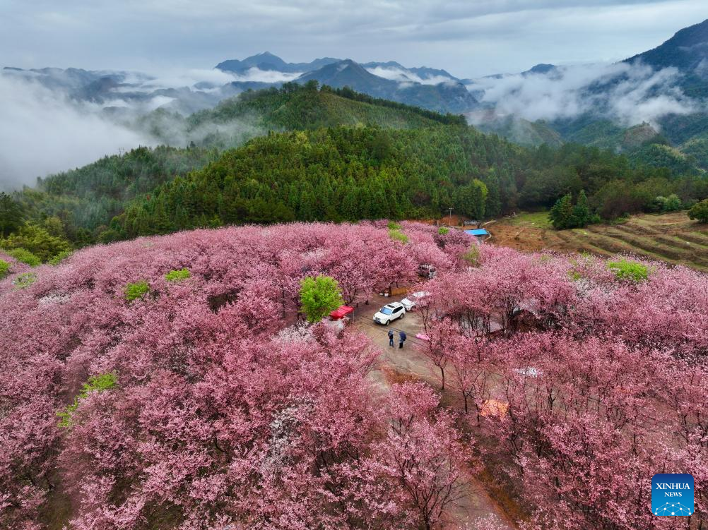 Xinhua/Jiang Kehong