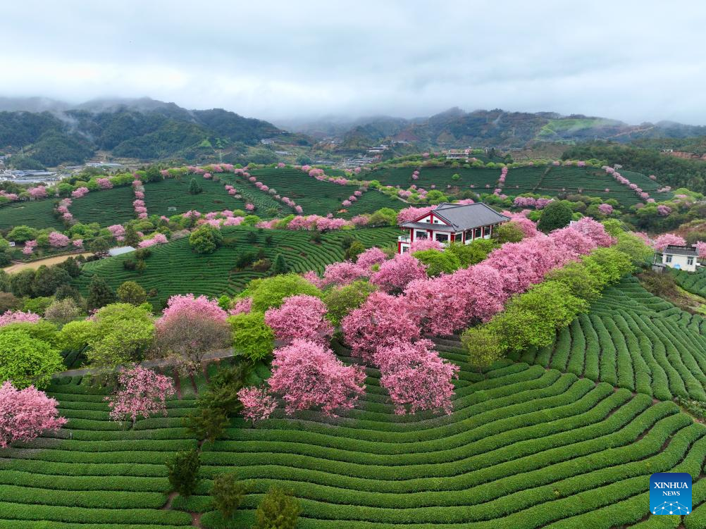 Xinhua/Jiang Kehong