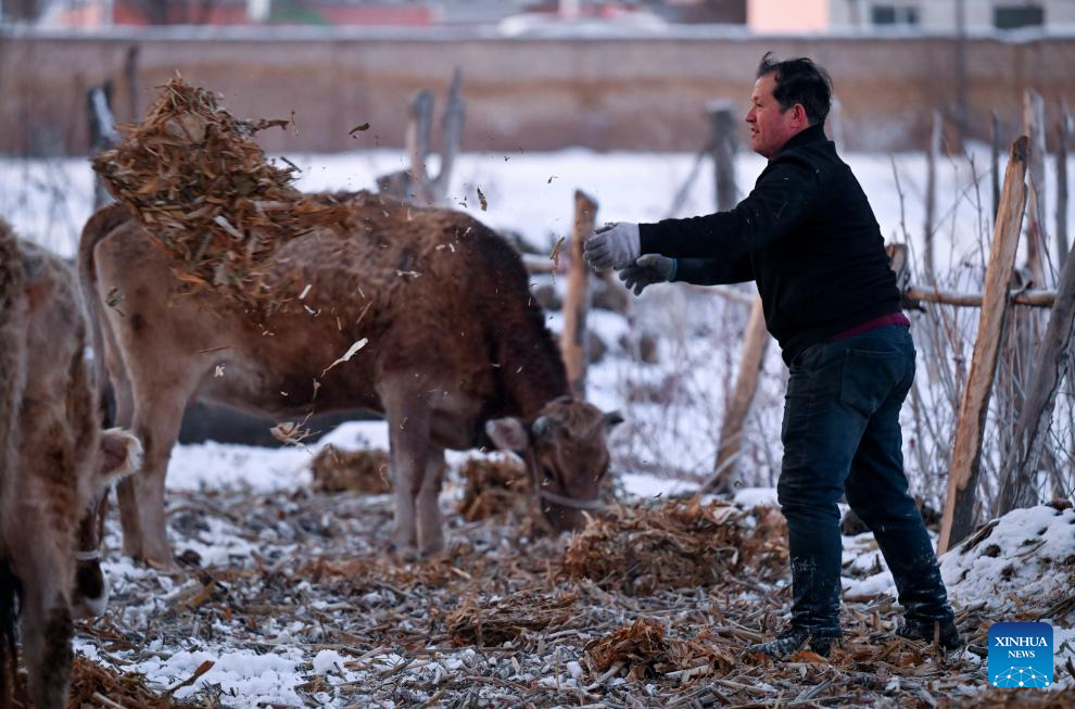 Xinhua/Wang Fei