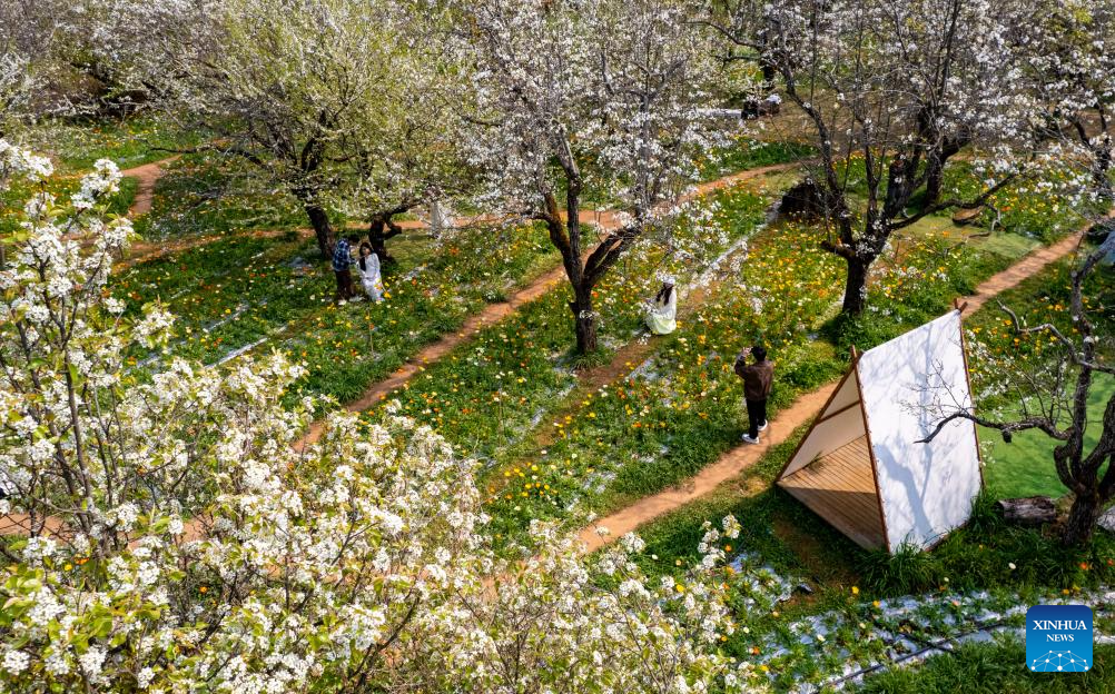 Xinhua/Chen Xinbo