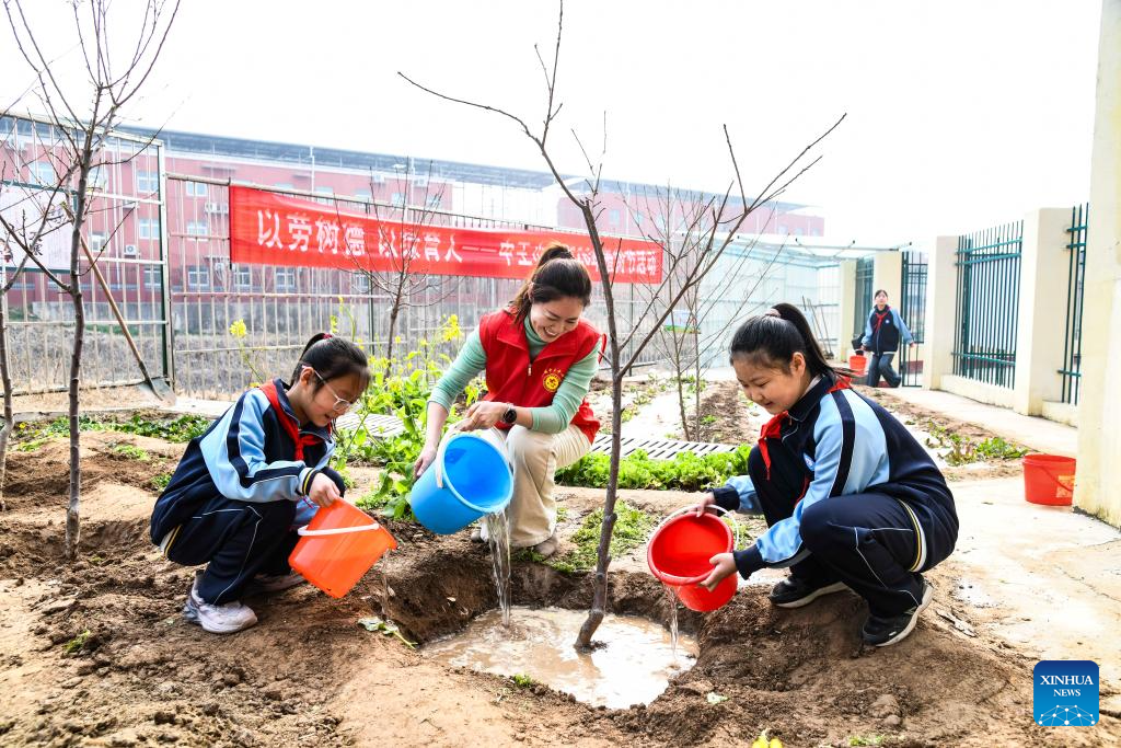 China planta futuro com ações ambientais às vésperas do Dia Nacional de Plantio de Árvores 2026