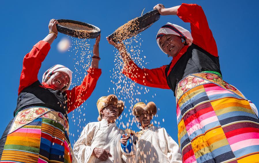 Agricultores cultivam a cevada das terras altas em sua maneira tradicional no distrito de Lhunzhub, Região Autônoma de Xizang, no sudoeste da China, 23 de setembro de 2025. (Xinhua/Tenzin Nyida)