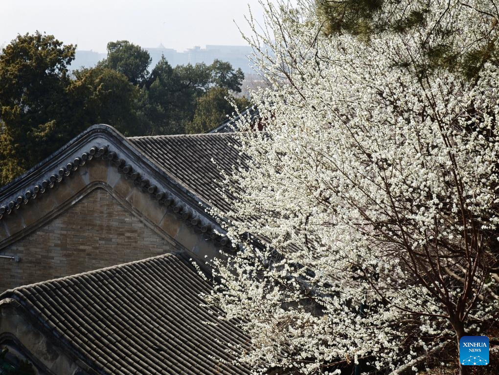 Xinhua/Xing Guangli