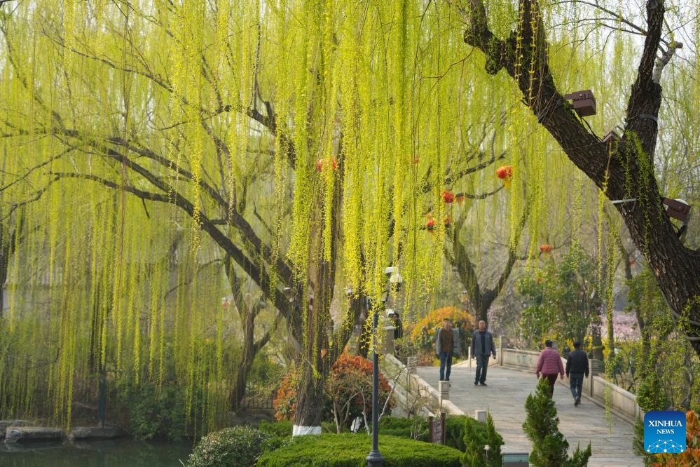 Xinhua/Xu Suhui
