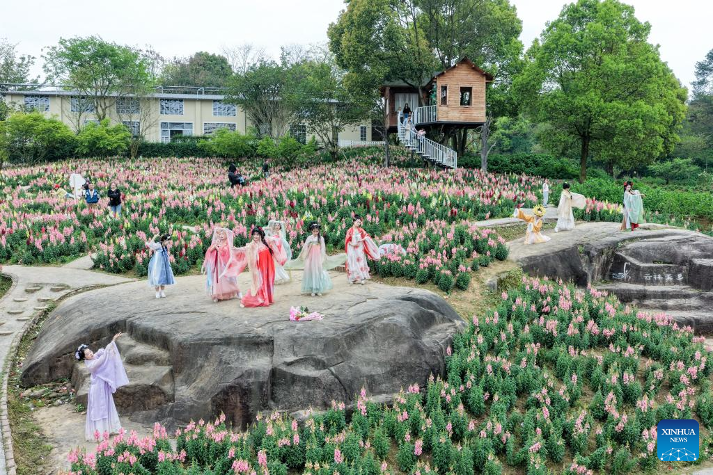 Áreas cênicas temáticas de flores impulsionam turismo rural em aldeia de Chongqing