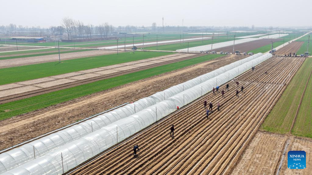 Foto de Liang Zidong/Xinhua