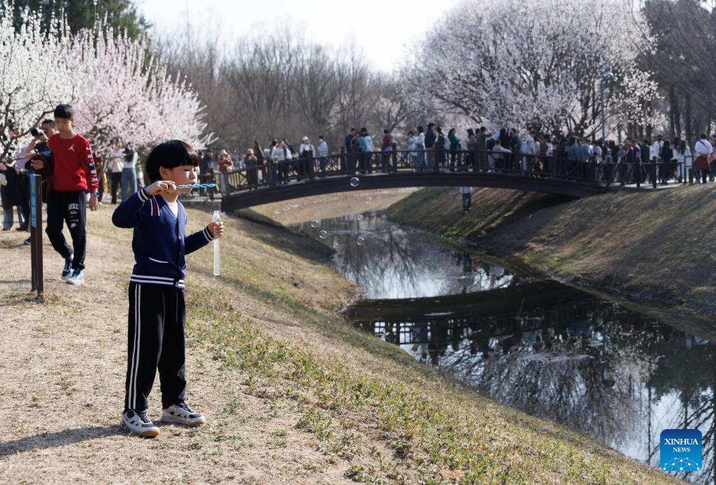 Xinhua/Jin Liwang