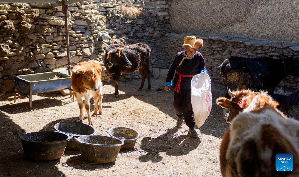 Xinhua/Tenzin Nyida