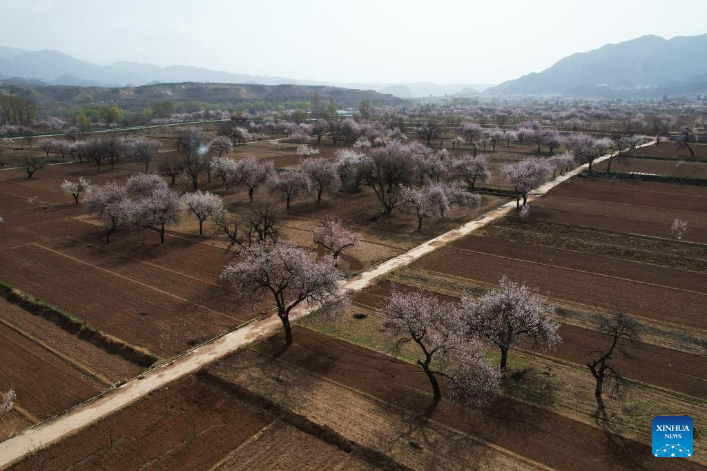 Xinhua/Zhang Zhimin