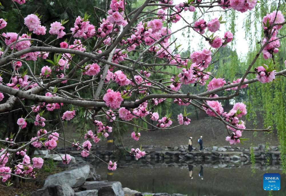 Festival de turismo da primavera começa no Parque Yuanmingyuan, em Beijing