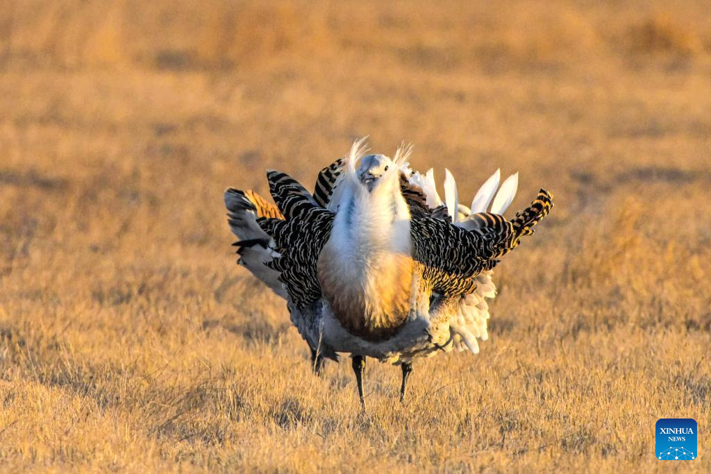Foto de Wang Yonggang/Xinhua