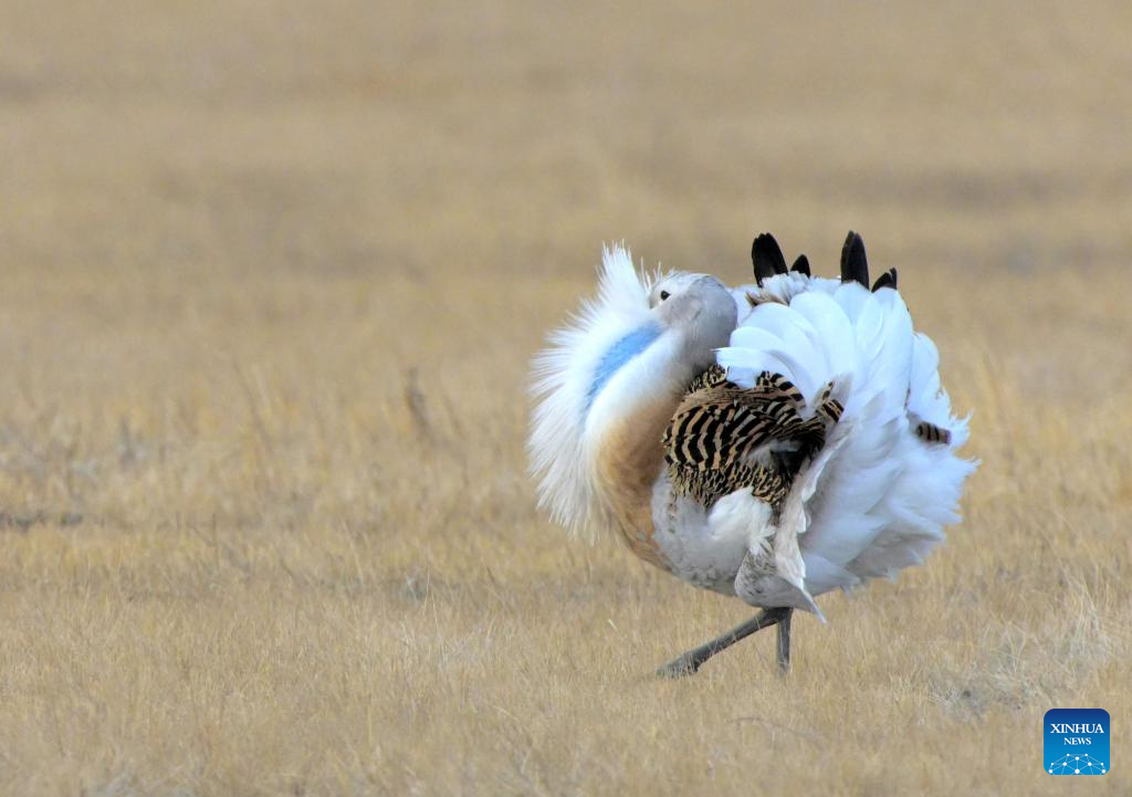 Foto de Wang Yonggang/Xinhua