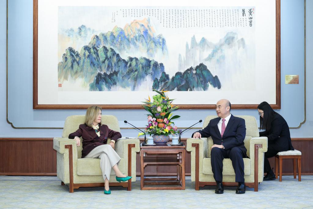 Vice-premiê chinês reúne-se com chefe da OMM