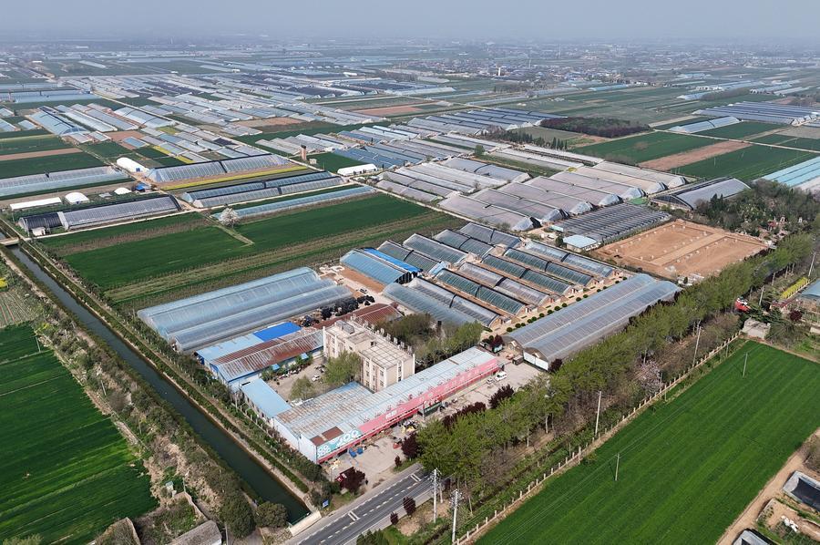 (Multimídia) Indústrias rurais da China mantêm sólido ímpeto de crescimento no primeiro trimestre