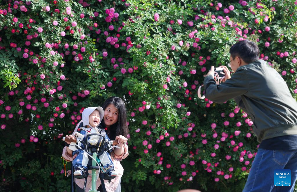 Primavera encanta com flores e paisagens coloridas na China