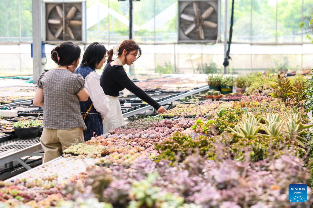 Cidade chinesa de Hangzhou investe em projetos de turismo rural e cultural para atrair visitantes