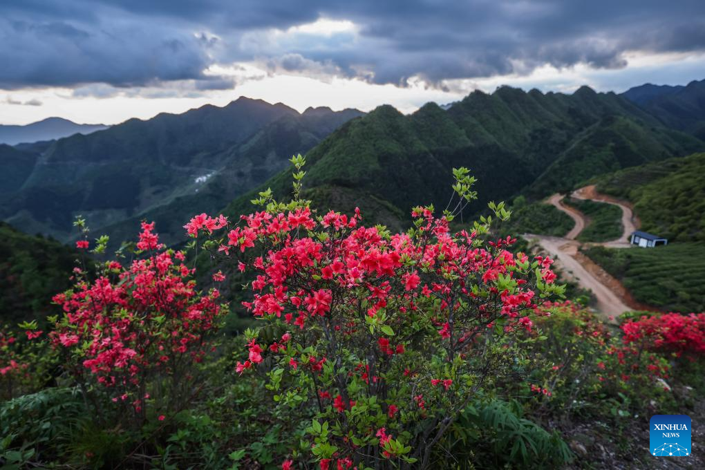 Aldeia de Jinling na província chinesa de Zhejiang desenvolve turismo rural cultural e ecológico
