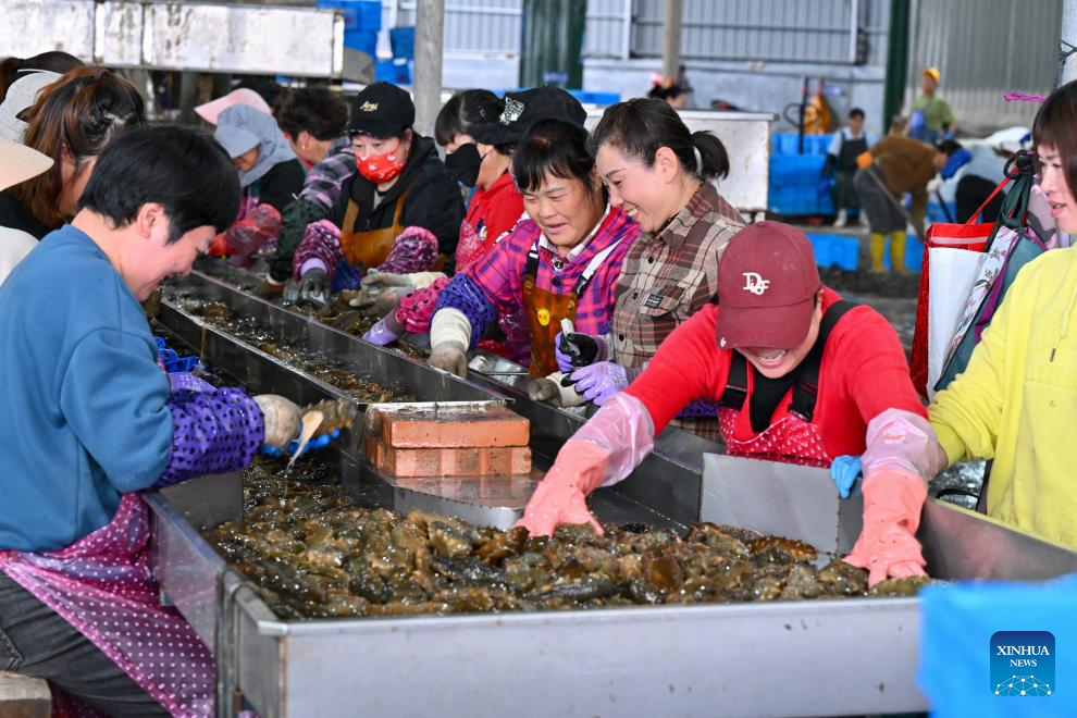 Maricultura segue em expansão na província chinesa de Fujian