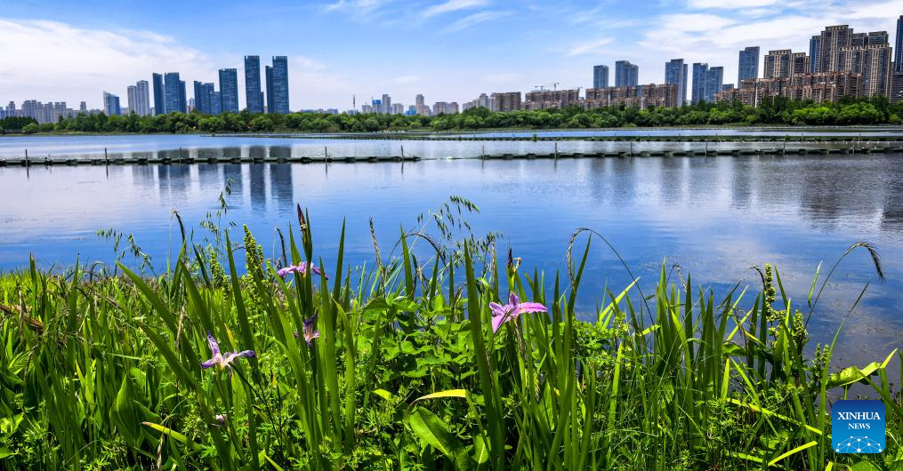 Lago Leste exibe belas paisagens em Wuhan, na província chinesa de Hubei
