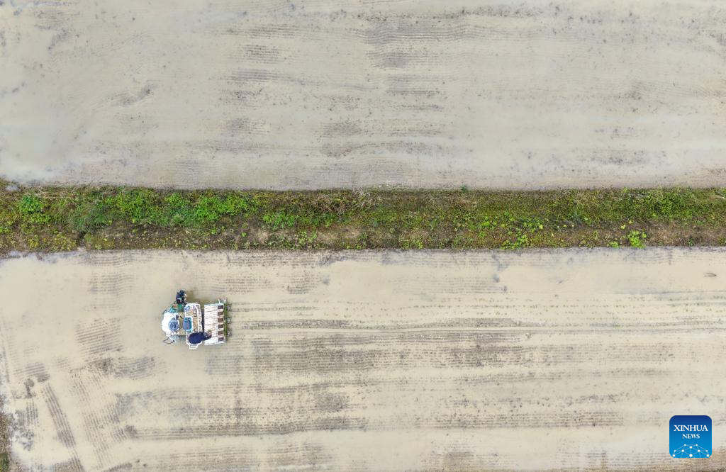 Agricultores realizama atividades sazonais de cultivo em Chongqing, no sudoeste da China