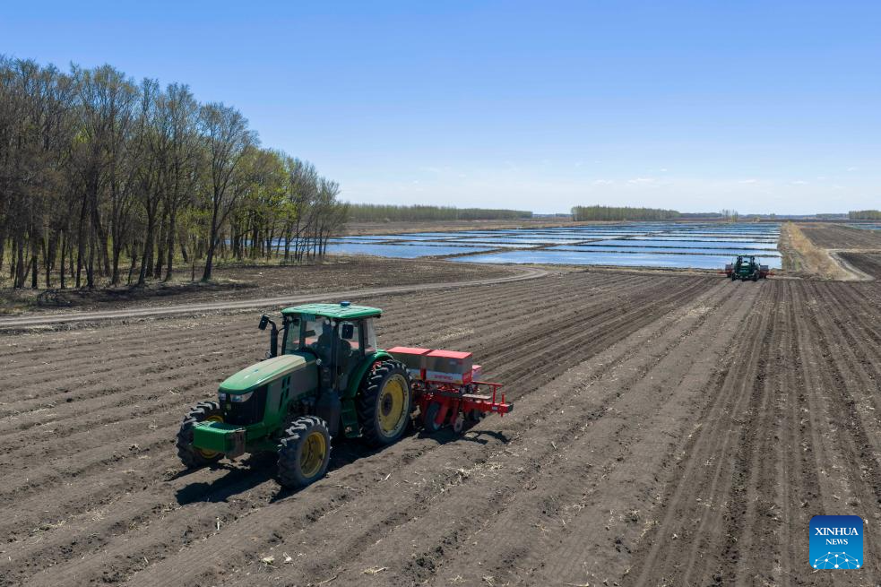 Província chinesa de Heilongjiang intensifica trabalhos de semeadura na temporada agrícola