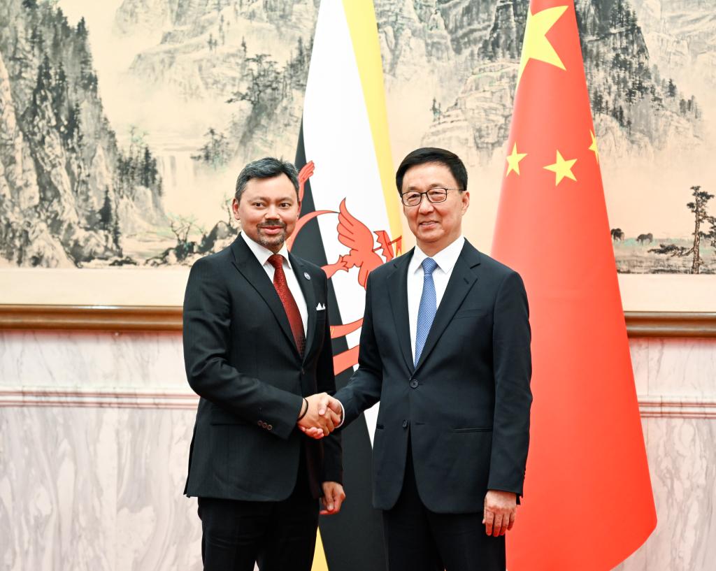 China está disposta a levar a comunidade China-Brunei com um futuro compartilhado para novo nível, diz vice-presidente