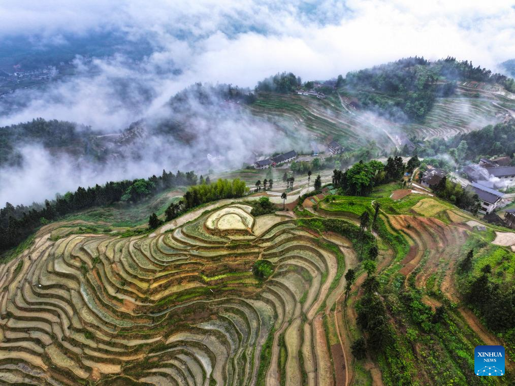 Fotos aéreas revelam paisagens deslumbrantes dos terraços de Ziquejie, em Hunan, centro da China