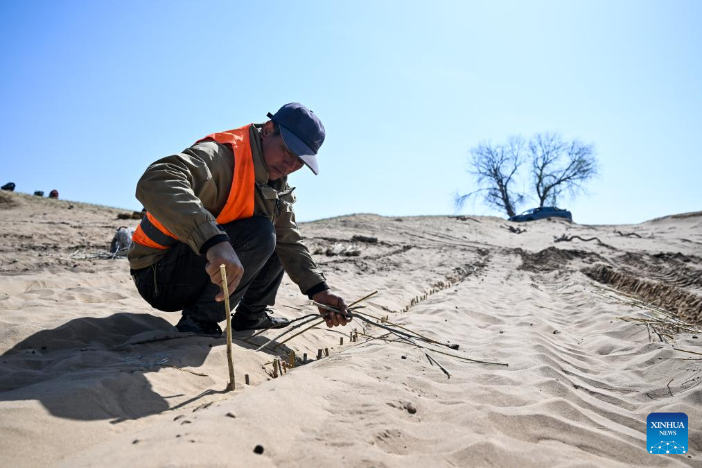Meios técnicos impulsionam eficiência no combate à desertificação na Mongólia Interior, norte da China