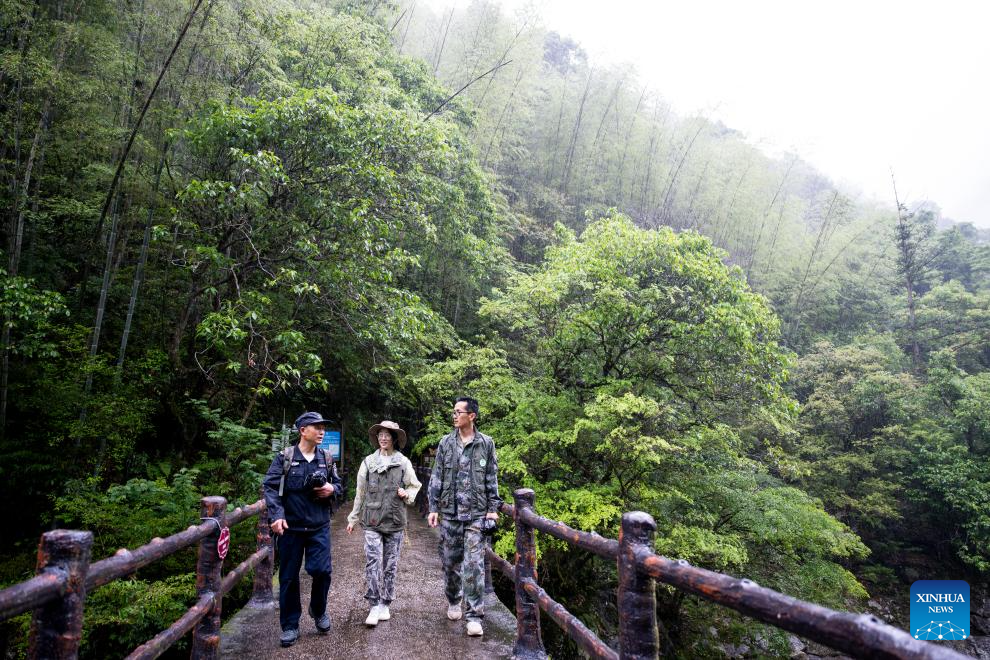 Agricultor de chá Luo Xianhua atua como guarda-florestal temporário protegendo o Parque Nacional Wuyishan em Fujian