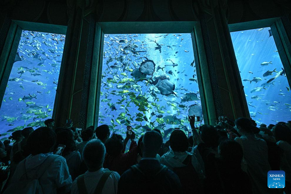 Veja fotos do aquário do Atlantis Sanya em Hainan