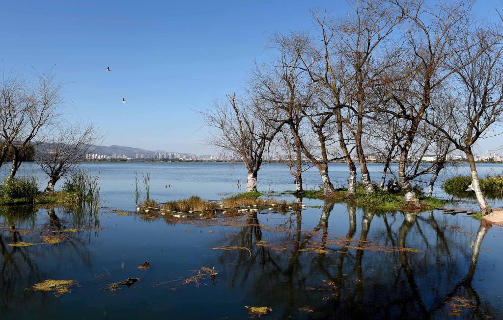 (Multimídia) Realizado fórum sobre promoção da civilização ecológica global no sudoeste da China