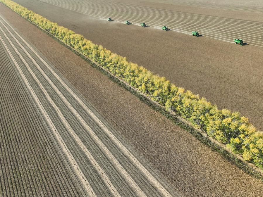(Multimídia) China divulga plano quinquenal para modernização agrícola e rural