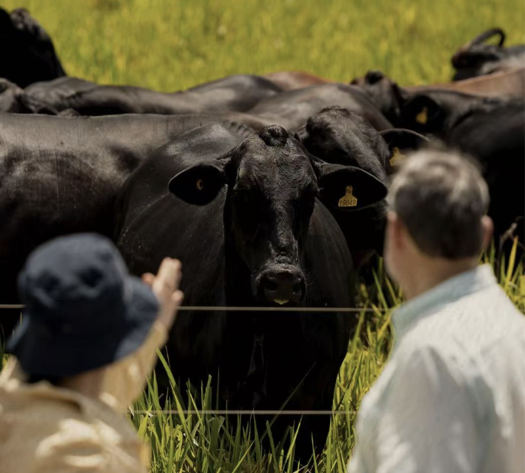 (Multimídia) Da soja à carne bovina brasileira livre de desmatamento, sustentabilidade se torna novo padrão de consumo na China