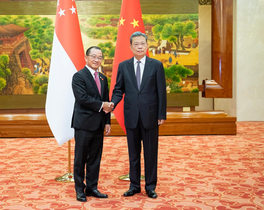 Chefe do Legislativo chinês mantém conversas com presidente do Parlamento de Singapura