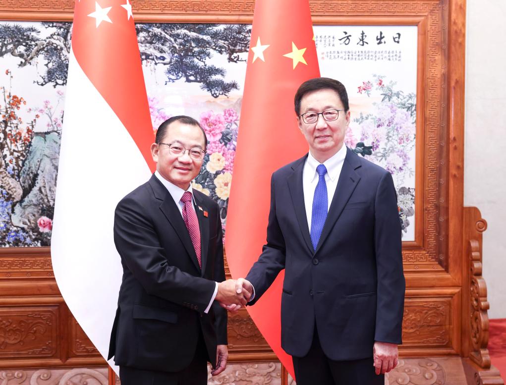 Vice-presidente chinês se reúne com presidente do Parlamento de Singapura