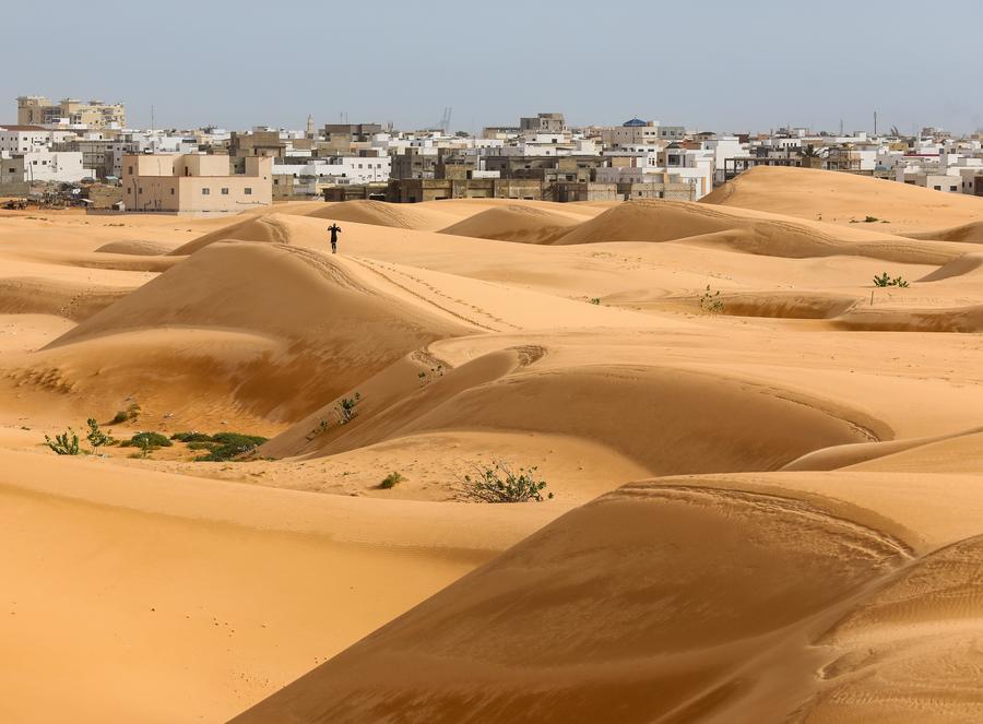 Entrevista: Luta da China contra desertificação traz lições importantes para a região do Sahel, na África, diz autoridade mauritana