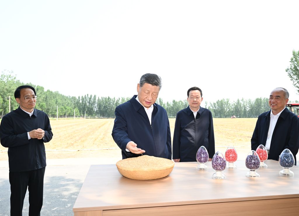 Xi pede medidas sólidas para modernizar agricultura e áreas rurais
