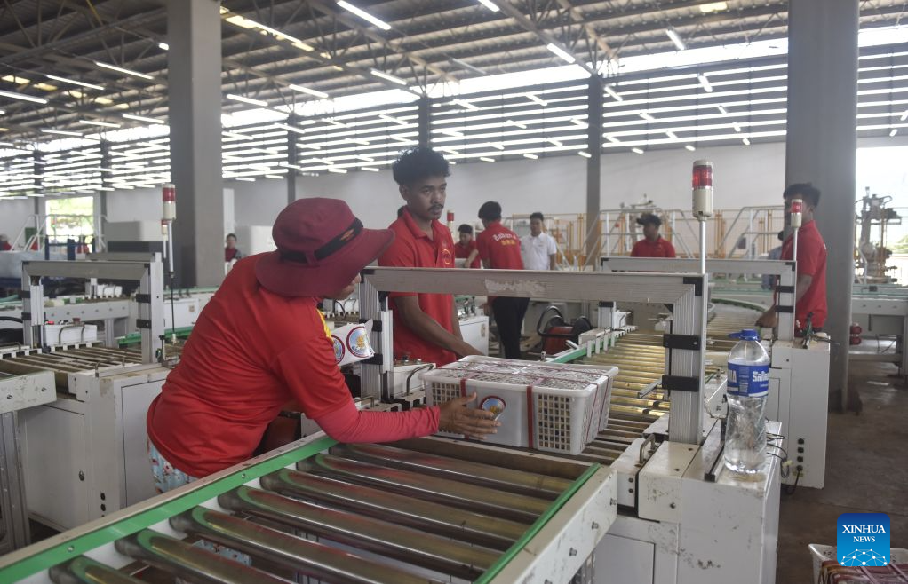 Destaque: Agricultores e exportadores do Camboja prosperam com crescimento do comércio direto de longans para a China