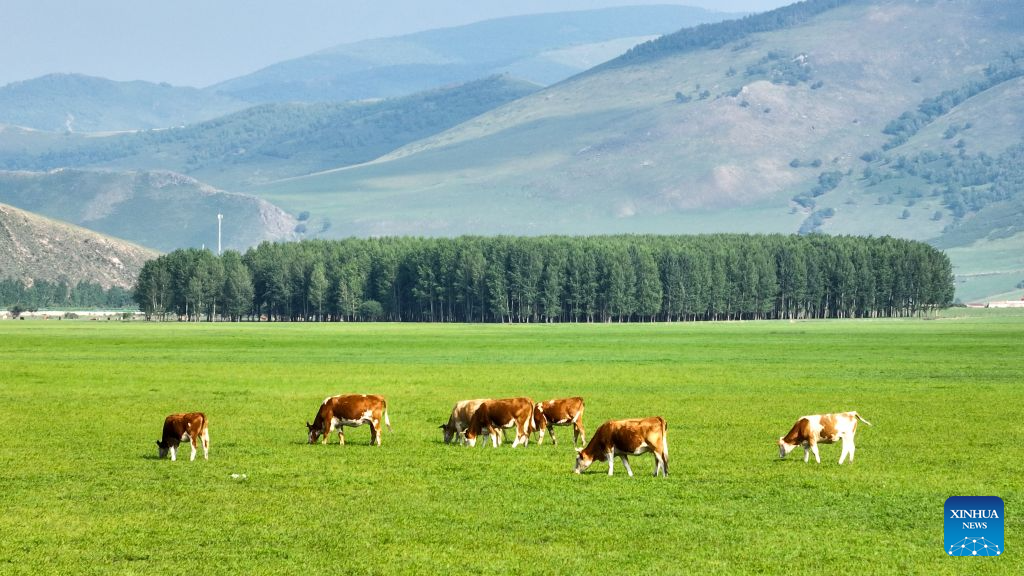 Beleza natural da pradaria Wulanmaodu, na Mongólia Interior, norte da China